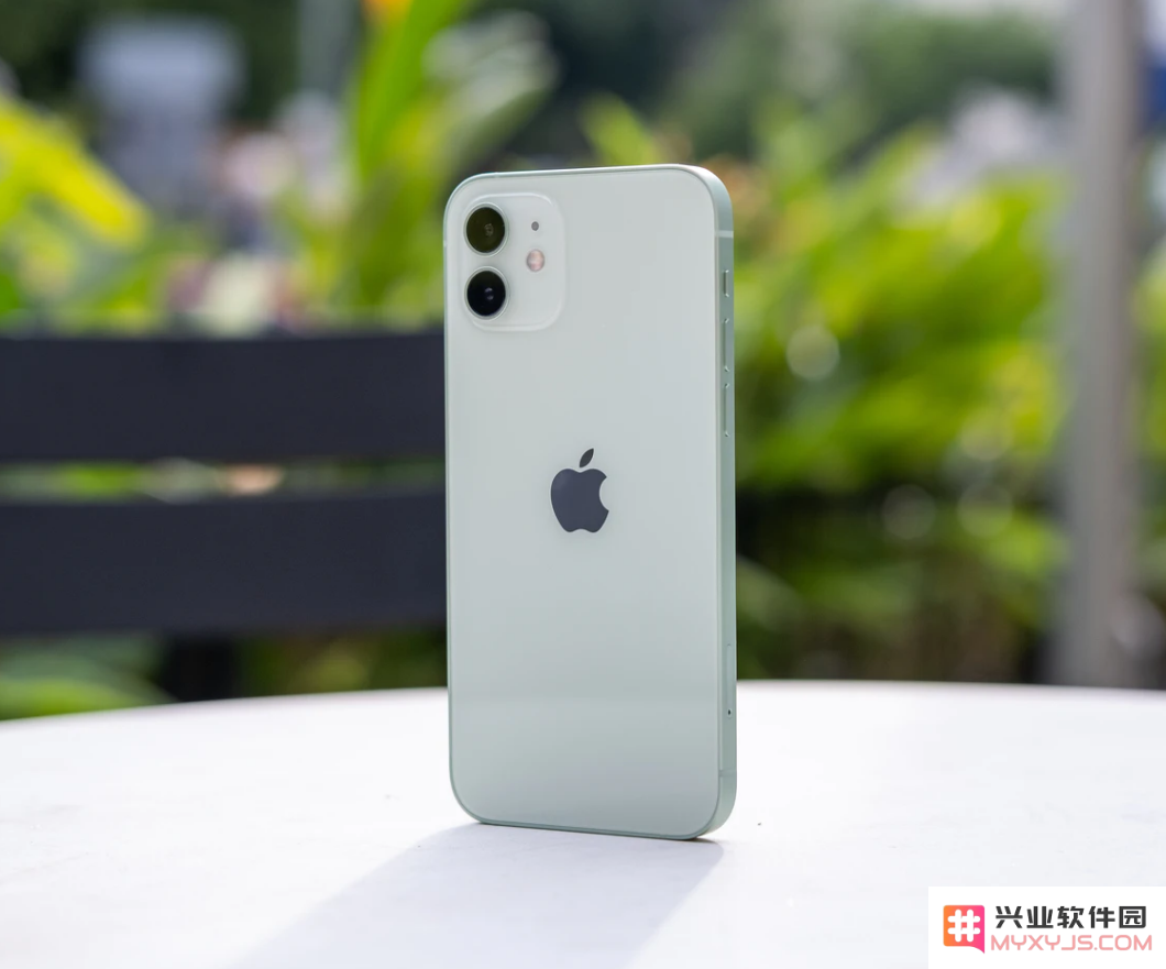 如何处理不小心将 iPhone 12 掉入水中的紧急情况？