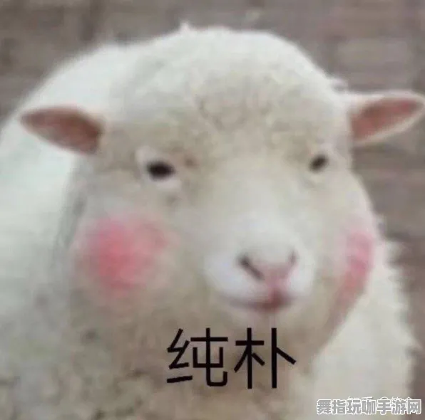 ·独家｜攻略 羊了个羊无广告版 黑科技｜2025年04月攻略