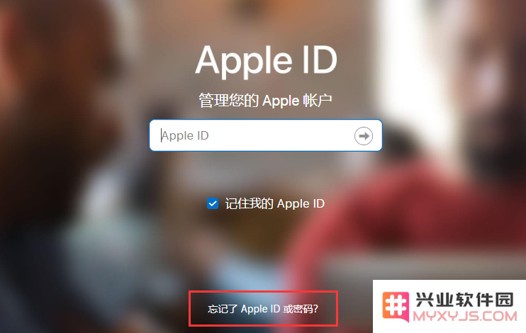 如果在 iPhone 12 登录 Apple ID 时出现问题，您应该如何解决这些困扰呢？