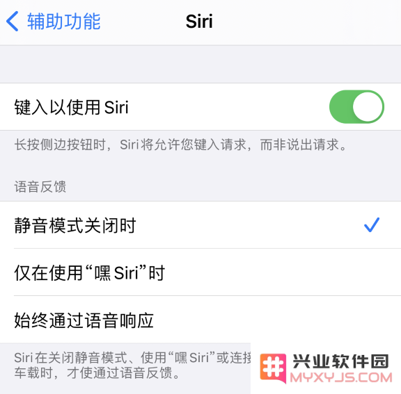 在 iPhone 12 上使用 Siri 的一些小技巧