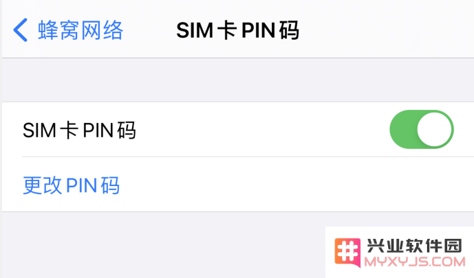 如何在 iPhone 12 上设置 PIN 码以保护您的设备安全与隐私