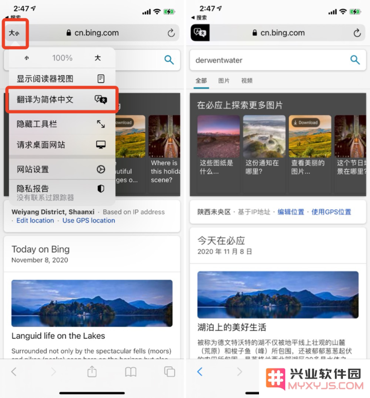 iOS 14.2 实用教程：如何在 Safari 浏览器中快速一键翻译整个网页内容？