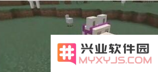 在《我的世界》中，羊驼会掉落哪些物品？羊驼的多种用途是什么？