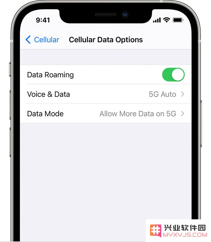 如何在 iPhone 12 上使用 5G？不显示选项怎么办？