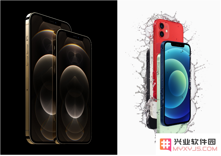 全面解析 iPhone 12 系列购买指南，如何选择最适合你的手机
