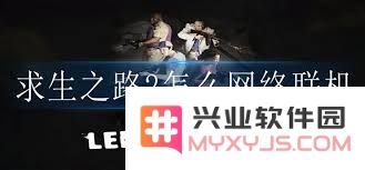 求生之路2局域网合作游戏指南：一步步教你轻松实现本地多人联机