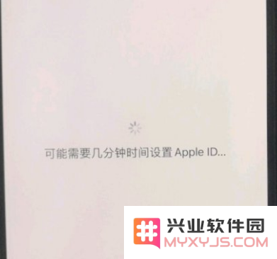 遇到 iPhone 12 激活问题，如何解决 Apple ID 设置界面卡顿的情况？
