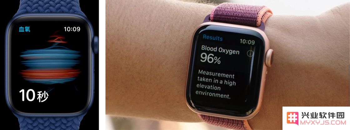 新一代 Apple Watch 加入的血样检测功能适合哪些人群使用？