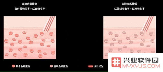 新一代 Apple Watch 加入的血样检测功能适合哪些人群使用？