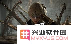 艾尔登法环中的黑夜君临女爵具备哪些职业角色及其特点分析