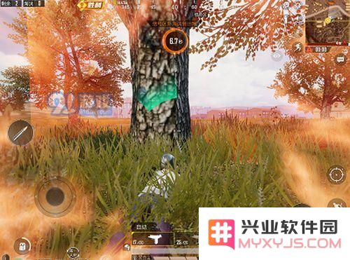 和平精英游戏中的淘汰倒计时机制解析与详细介绍，带你了解淘汰时限的具体规则和影响