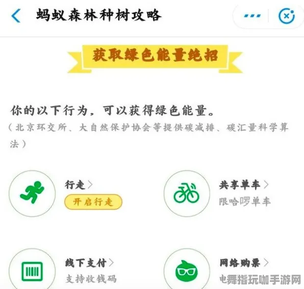 实测｜秘籍 蚂蚁森林能量保护 星推｜2025年04月攻略