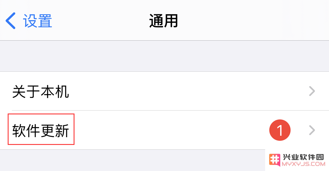 iOS 14 实用技巧：教你如何设置以防止 iPhone 自动进行系统升级