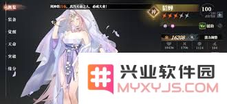 三国志幻想大陆2枭之歌丁夏最佳阵容搭配策略与角色推荐