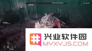 如何顺利完成第一狂战士卡赞超越者之剑支线任务的详细攻略与技巧分享