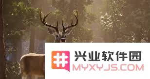 上古卷轴4重制版刺客黑暗兄弟会成就解锁攻略详解