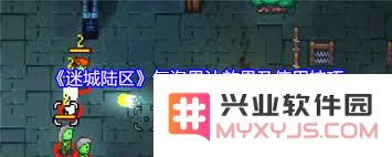 迷城陆区大力丸具体用途和效果是什么？使用注意事项有哪些？