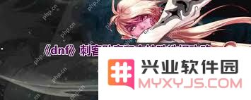 DNF人造神版本刺客玩家毕业装备选择指南与推荐策略分析