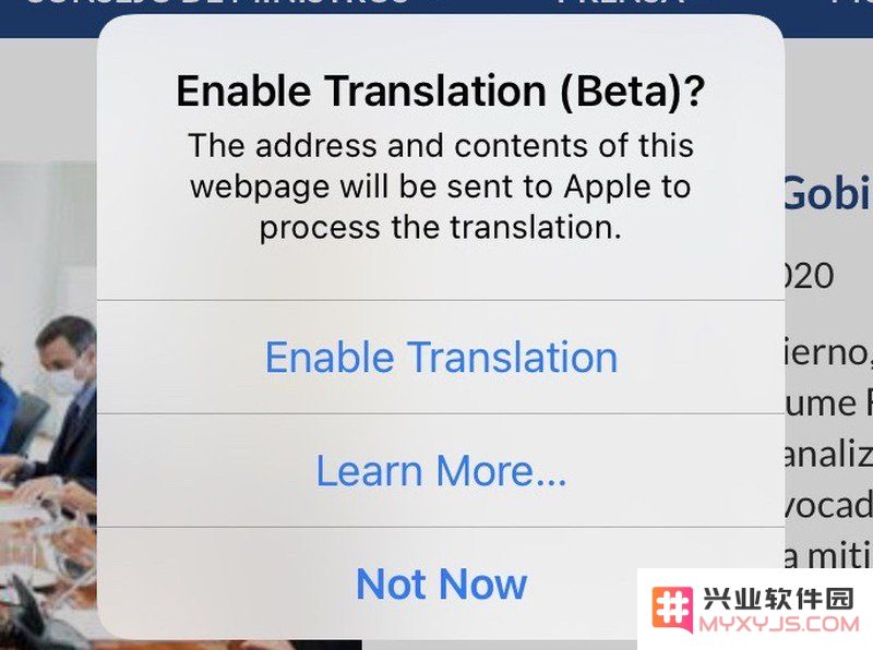 iOS 14 教程：如何在 iPhone 上的 Safari 浏览器中翻译网页？