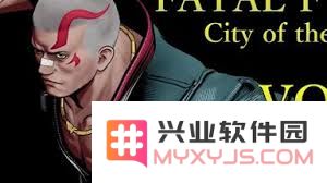 饿狼传说中博克斯瑞巴基础连段的学习方法与技巧解析