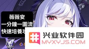 如何高效培养绝区零薇薇安角色的成长与能力提升攻略