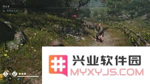 刺客信条影奈绪江武士刀前期最佳Build方案与攻略分享