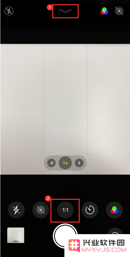 小技巧：在 iPhone 11 上拍摄照片制作头像