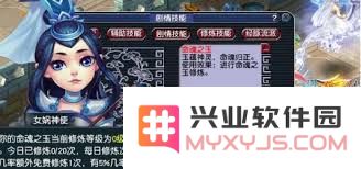 梦幻西游命魂之玉系统的详细玩法介绍与实用技巧分享