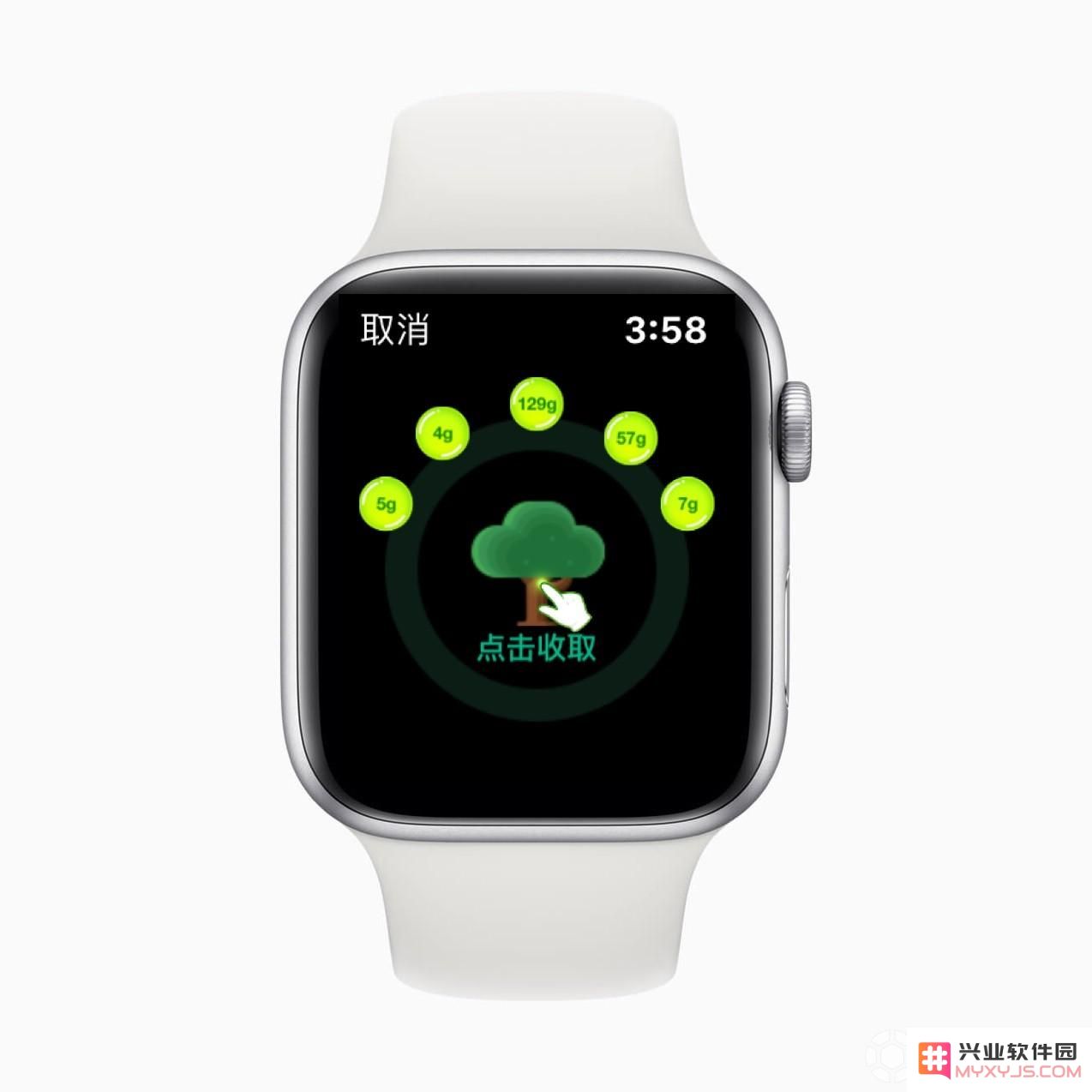 Apple Watch 支付宝新功能：“一键收取”蚂蚁森林能量 