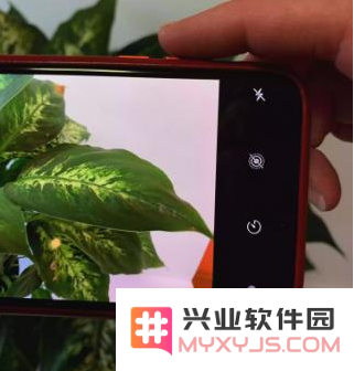 如何使用iPhone手机拍出好看的照片？