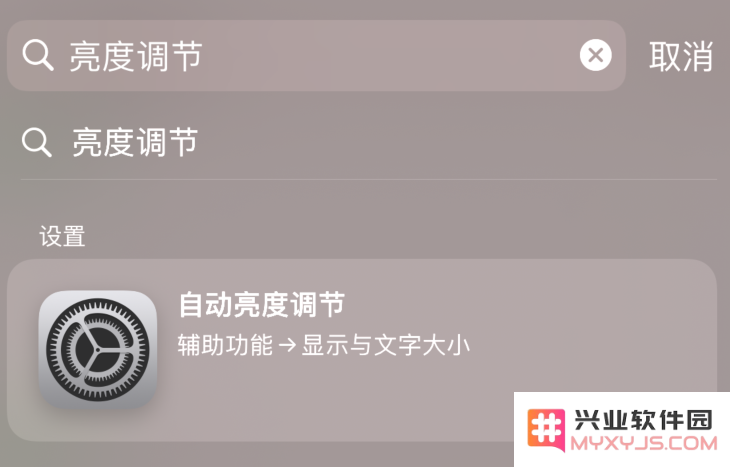 iPhone 实用的搜索框功能，在 iOS 14 beta 4 中再次优化