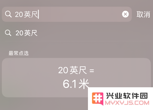 iPhone 实用的搜索框功能，在 iOS 14 beta 4 中再次优化