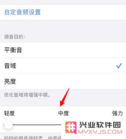 iOS 14 耳机调节功能，提升音乐和通话音频质量
