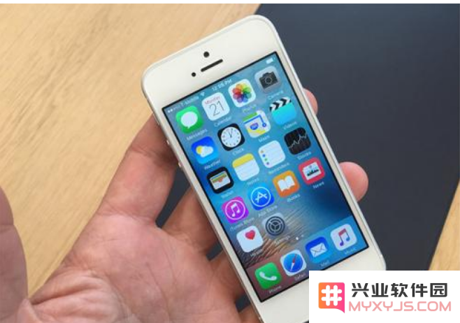 如果你的iPhone手机WiFi频繁掉线并且无法正常上网，应该采取哪些解决措施呢？