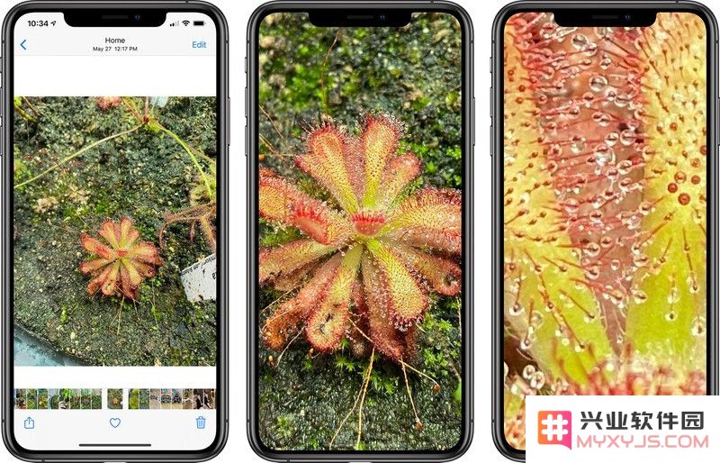 iOS 14 全新特性：增强照片放大功能提升用户体验，分享照片更加方便