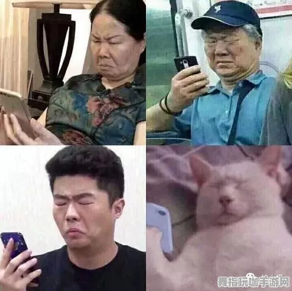 突发新闻｜周年庆活动｜庄园小鸡养成技巧分享 微信小游戏攻略指南