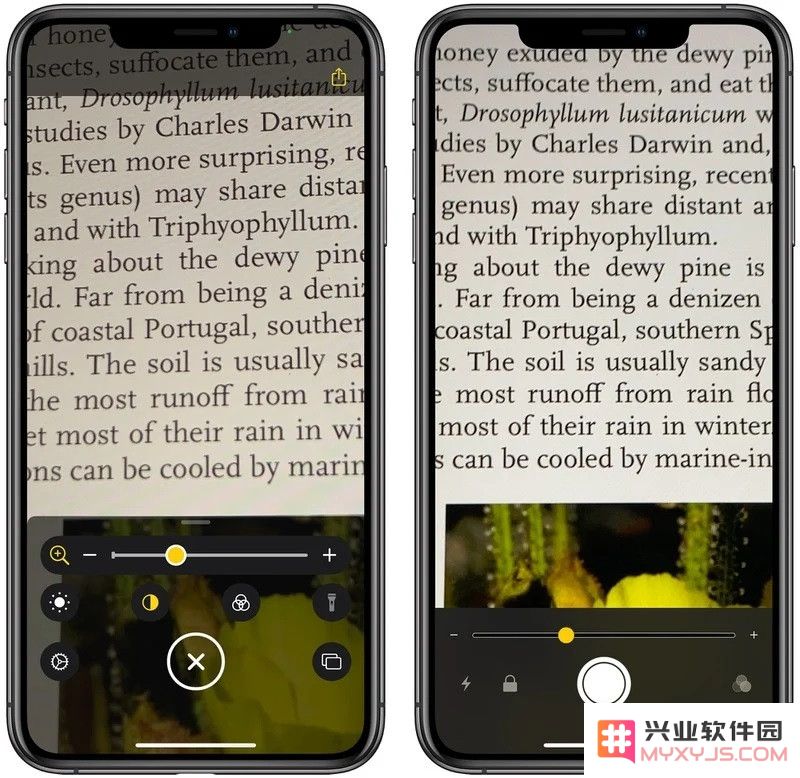 iOS 14 “放大器”功能全面升级：新增主屏幕添加支持，提升用户体验