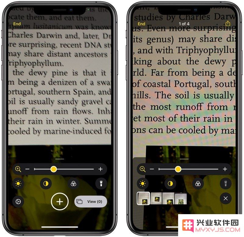iOS 14 “放大器”功能全面改进：支持添加到主屏幕