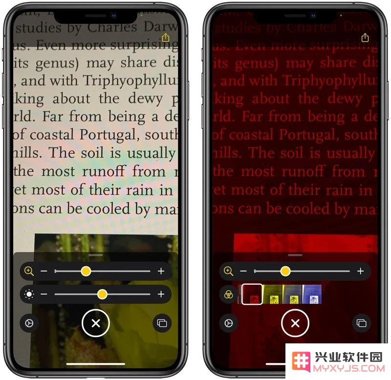 iOS 14 “放大器”功能全面改进：支持添加到主屏幕