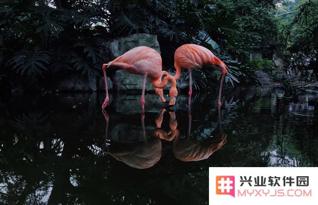 2020 IPPA 摄影大赛奖项公布，获奖摄影师教你如何拍照