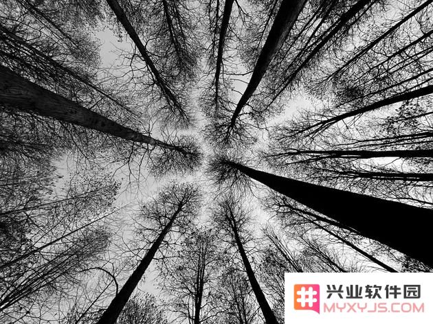 2020 IPPA 摄影大赛奖项公布，获奖摄影师教你如何拍照