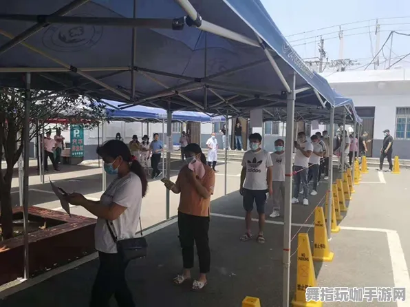 首度揭秘｜蚂蚁森林能量保护冠军攻略｜2025年04月全方位解析
