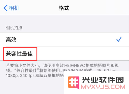 遇到 iPhone 延时摄影功能一直停留在“正在载入”状态时该如何处理？