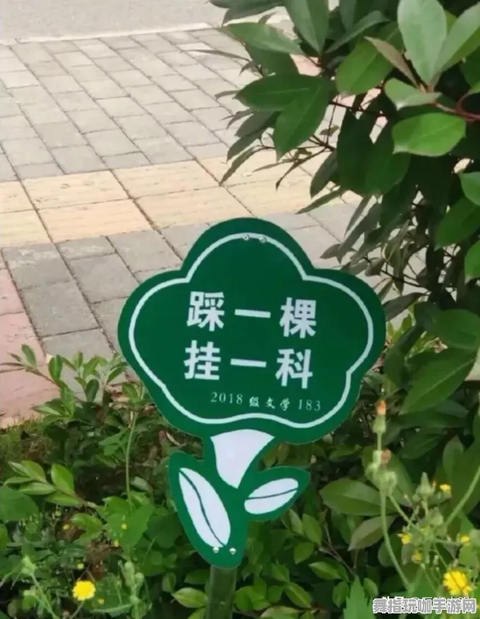 庄园小鸡养成新玩法 微信小游戏｜全方位攻略及冠军策略｜2025年04月挑战解析