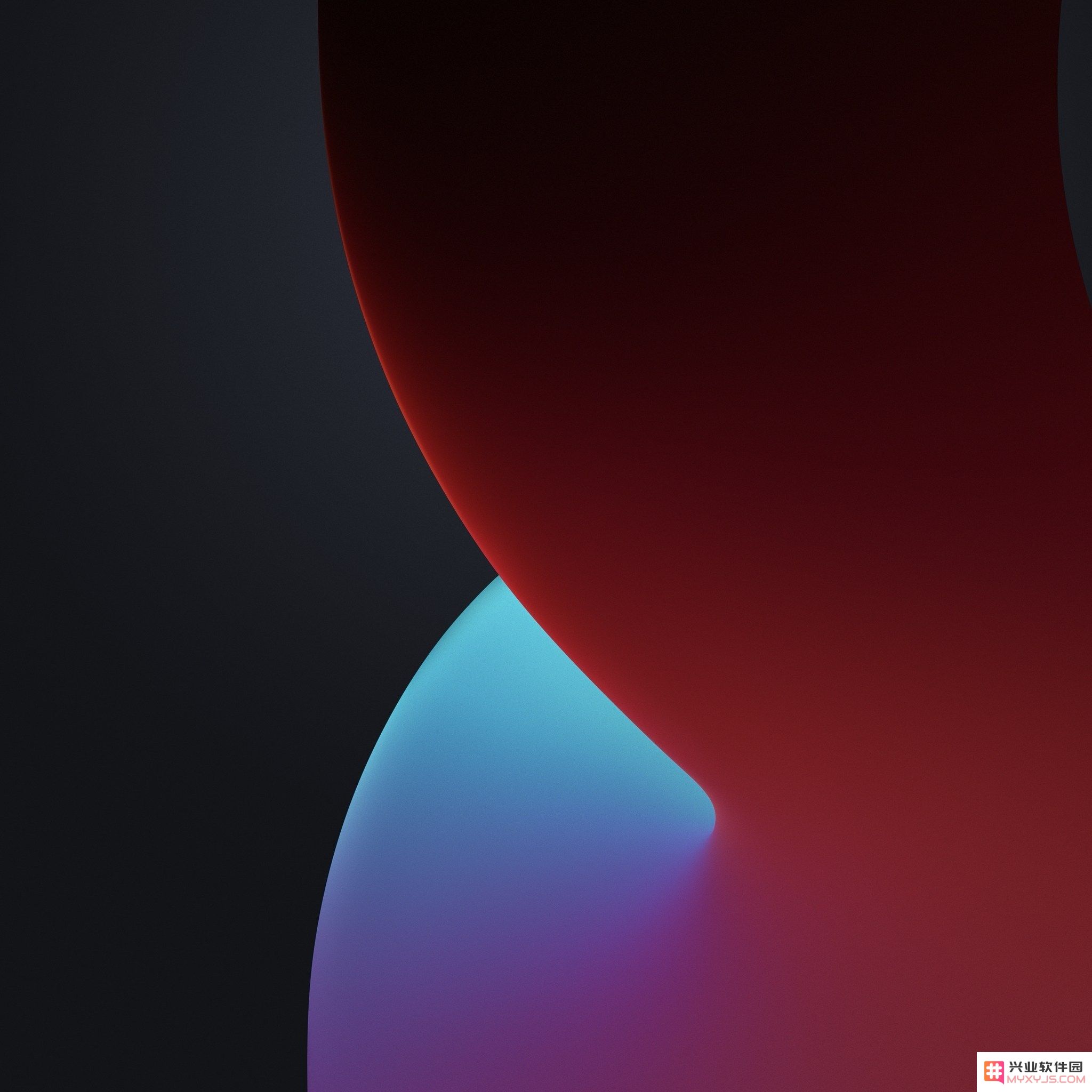 苹果 iOS 14/iPadOS 14 全新壁纸分享