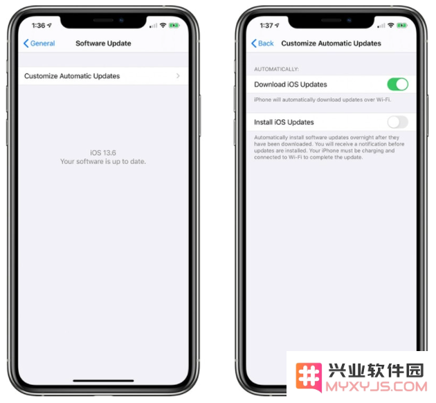 怎样启用iOS 13.6 Beta 2中的新功能：系统自定义自动更新开关的详细步骤？