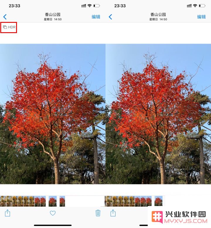 为什么在iPhone拍照后我的相册中显示了两张一模一样的照片？