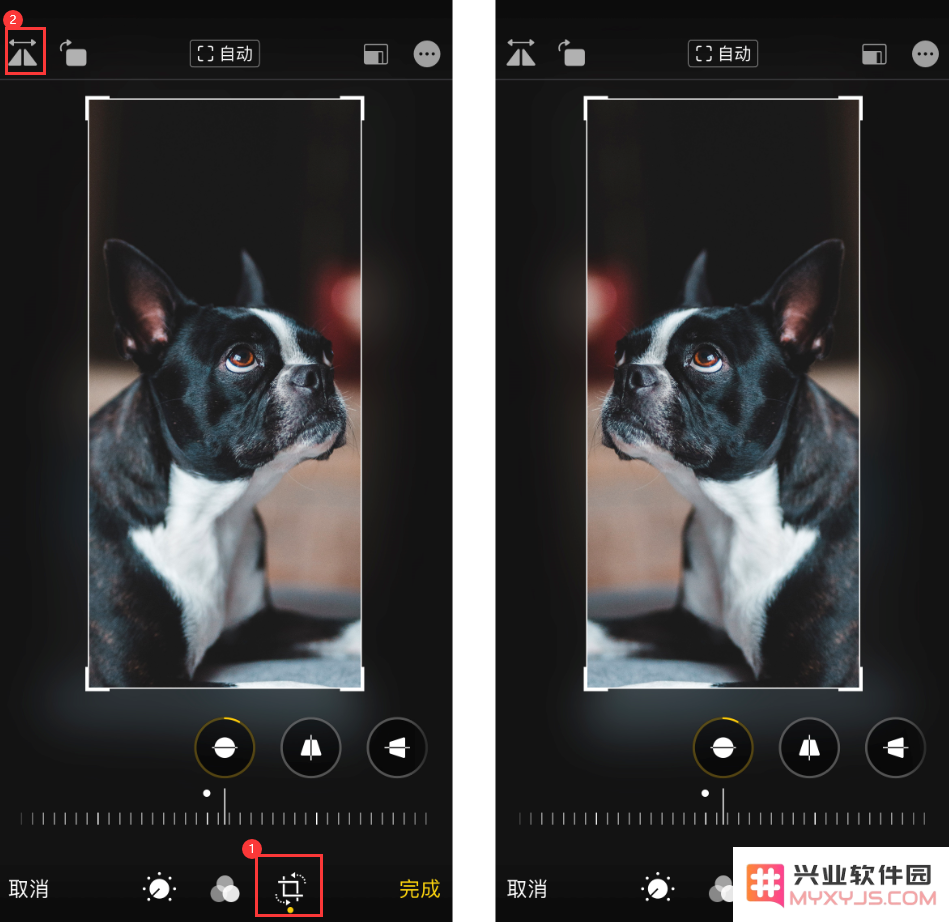 探索 iOS 13 中独特的小技巧：使用内置编辑工具轻松翻转和旋转你的照片