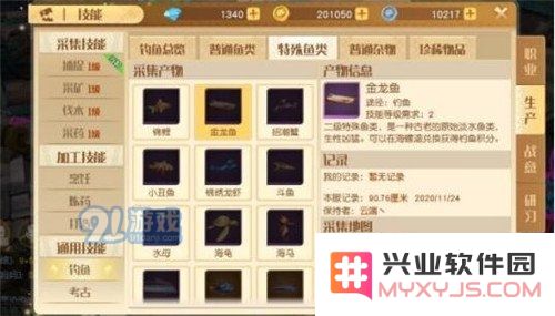 在梦想新大陆中，如何成功获得金龙鱼的具体方法与步骤详解