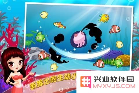 开心水族箱中的鱼类知识全面解析与攻略分享，助你轻松养鱼，实现养鱼乐趣